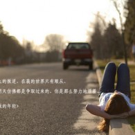 正版49图库免费安装12生肖对照表